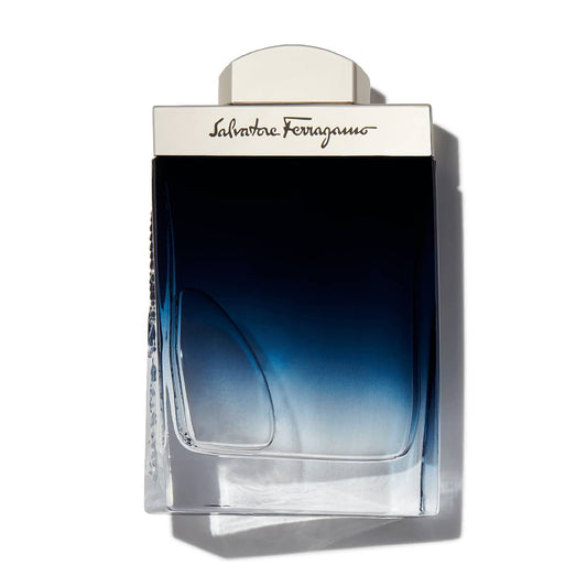 Ferragamo Subtil Pour Homme — 100 ml Eau de Toilette — bottle front